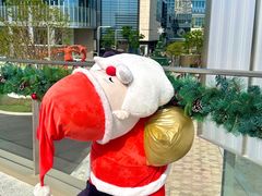 -深圳湾万象城(南山店)