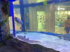 -火炉火自助餐(喜隆多店)