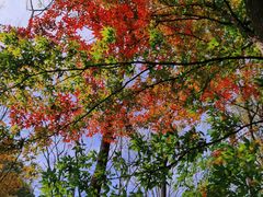 -关门山森林公园
