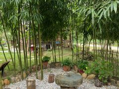 -盛龙生态风情园