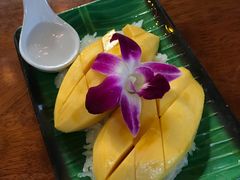 -Jungle Kitchen