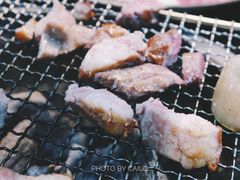黑猪肉-黑豚家(济州总店)