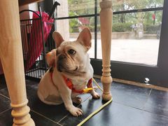 -富贵面包公司(运河店)