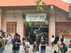 -西双版纳原始森林公园