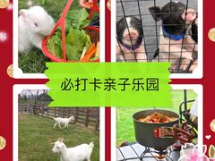 -前小桔亲子创意农场·草莓采摘·露营烧烤