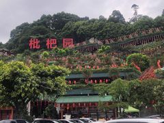 -枇杷园食为鲜火锅(南山店)