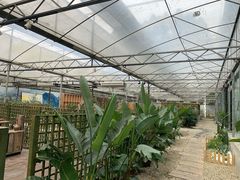 -桉树林A coffee 森林餐厅(三圣乡店)