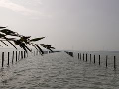 -漕湖湿地公园