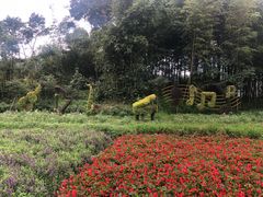 -广州市石门国家森林公园
