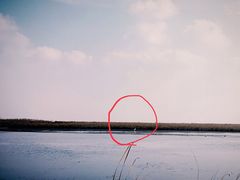 -盐城丹顶鹤湿地生态旅游区