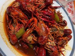 -杨氏青龙虾·羊蝎子(托乐嘉店)