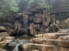 -燕塞湖鸟语林景区