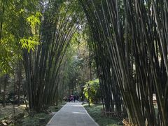 -成都杜甫草堂博物馆