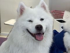 -怪兽屋·羊驼·猫咖·狗咖(俊华广场店)