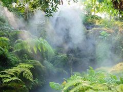 -Chom Cafe and Restaurant