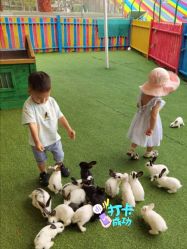 -萌宠亲子动物乐园(槐房万达店)