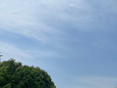 -贡湖湾湿地公园