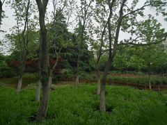 -江南大学(蠡湖校区)