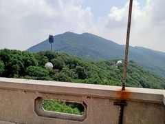 -紫金山天文台
