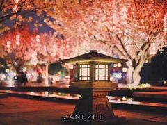 -大雁塔北广场音乐喷泉