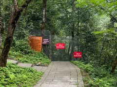 -西岭雪山大飞水景区