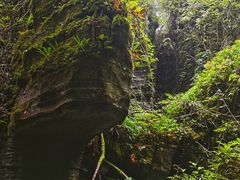 -梭布垭石林景区