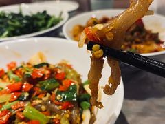 鸭掌筋-壹盏灯(惠农店)