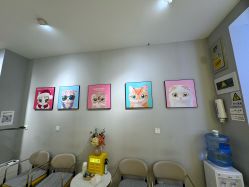 -洗脸猫·洗脸吧