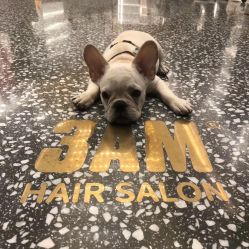 -3AM HAIR SALON烫发染发接发