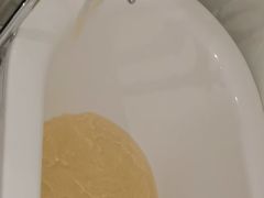 -天安瑞嘉酒店