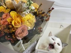 -植物学家的女儿(北马道巷店)