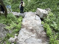-王顺山国家森林公园