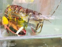 -美味海鲜大排档(明发美食地标店)