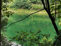 -桃花岭景区