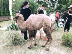 -无锡动物园·太湖欢乐园
