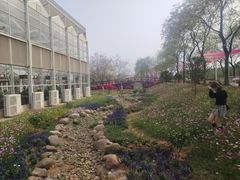 -盈香心动乐园