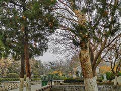 -贮水山儿童公园