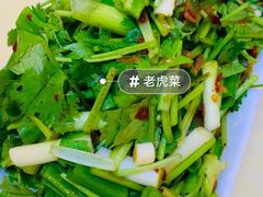 老虎菜-老昌春饼(迅驰广场店)