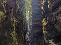 -梭布垭石林景区