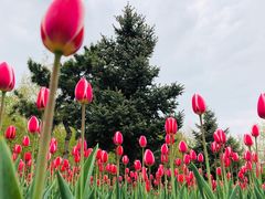 -长春公园(普阳街道)