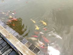 -嬉乐湾休闲旅游区