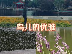 -金砂公园