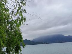 -大洛水码头