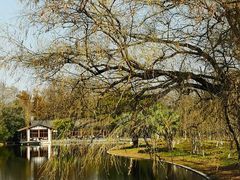 -上海共青森林公园