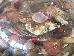 -港畔赶海蒸汽海鲜烧烤自助(仙螺岛店)