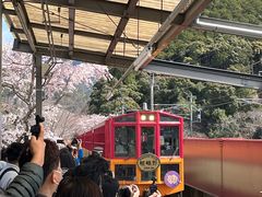 -岚山嵯峨野观光小火车