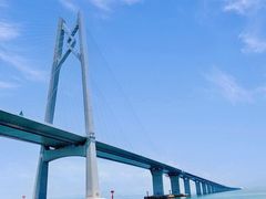 -招商蛇口邮轮母港(观光客运)
