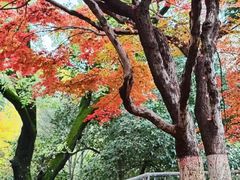 -西安市纺织公园