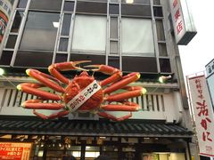 -蟹道乐(道顿堀本店)