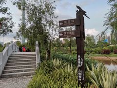 -大亚湾红树林城市湿地公园
